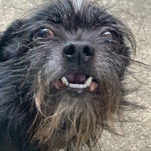 Meet your Posher, Jerry